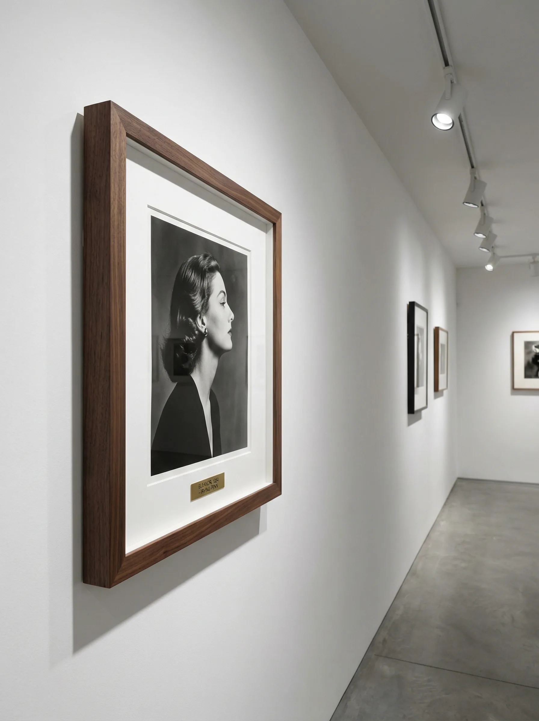 香蕉视频 - 限量版画《暗影独白》